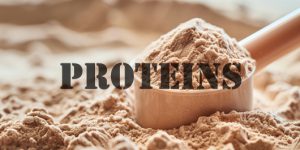 Proteins | BODYBUILDER SUPPLEMENTS